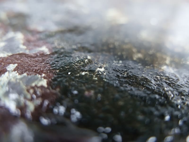 写真撮影 雨粒に濡れた石とボケの世界