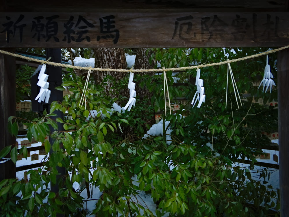 神社での写真撮影 しめ縄と絵馬掛所