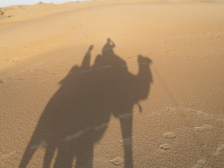 f:id:acckazu:20070212212424j:image