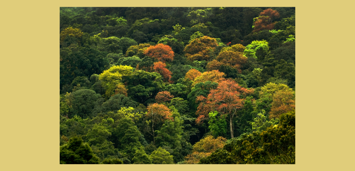 f:id:acco-contents:20211020005938p:plain