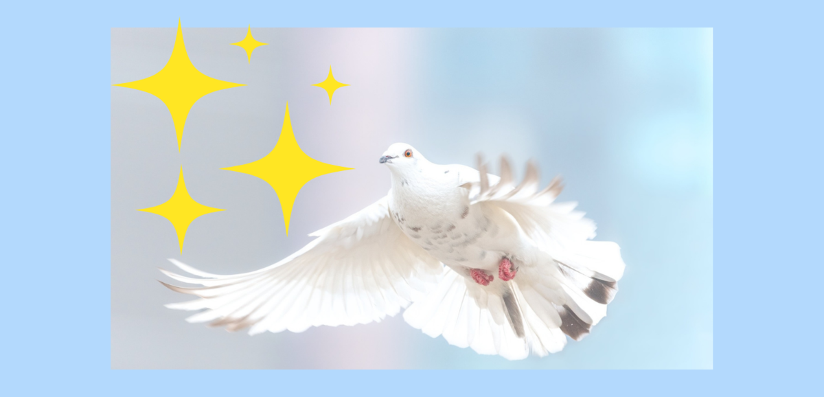 f:id:acco-contents:20220401075802p:plain