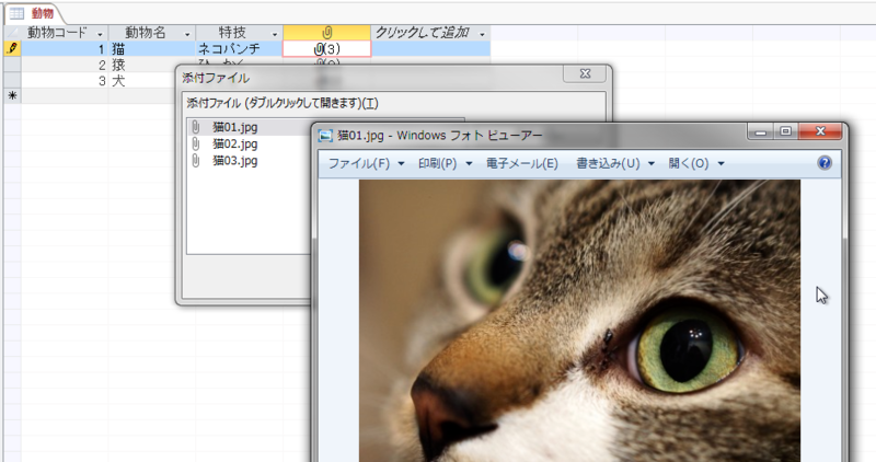 f:id:accs2014:20160308232824p:image:right:w500 f:id:accs2014:20160308232824p:image:right:w500