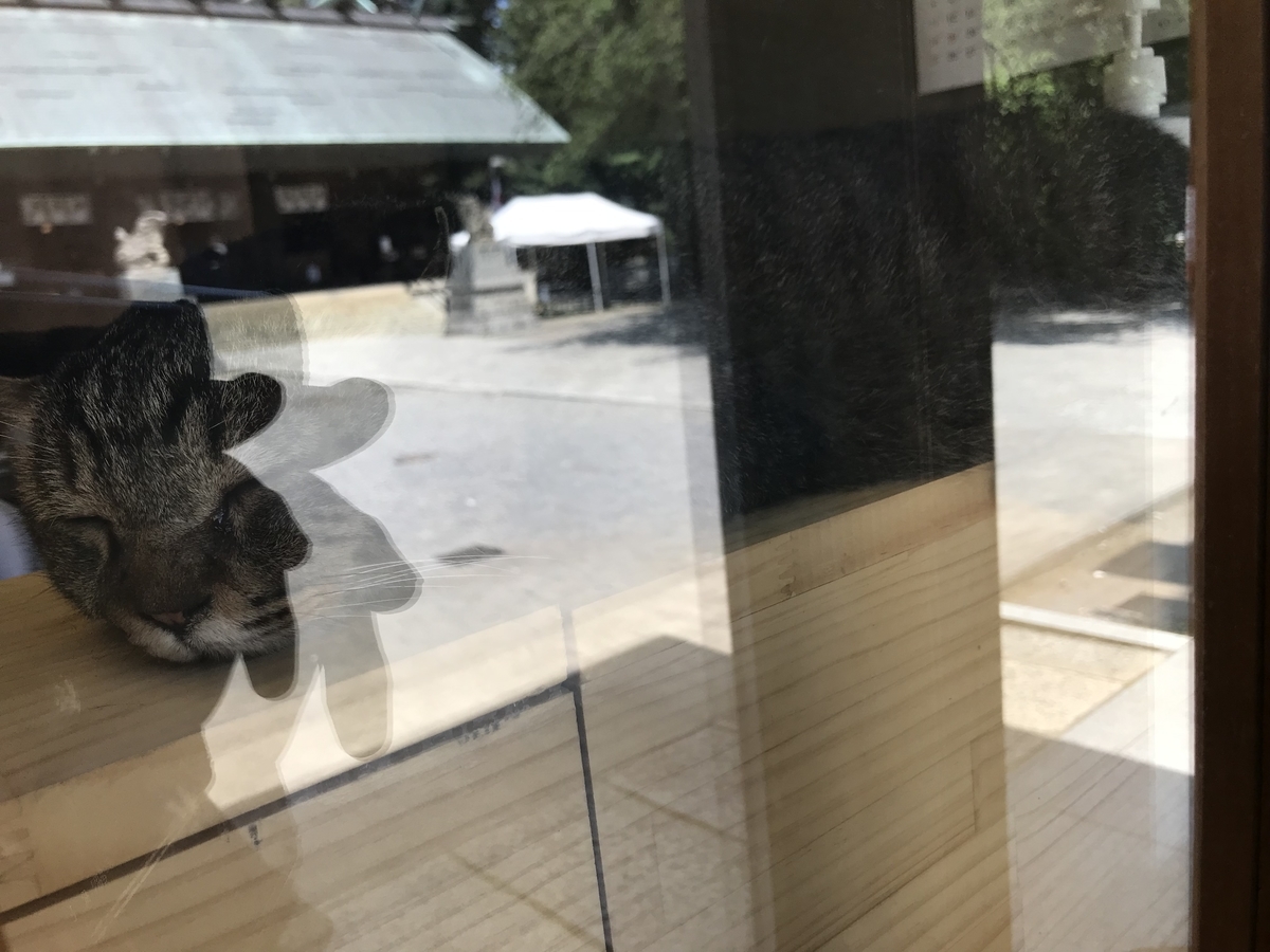 f:id:acdc1260:20210723064718j:plain