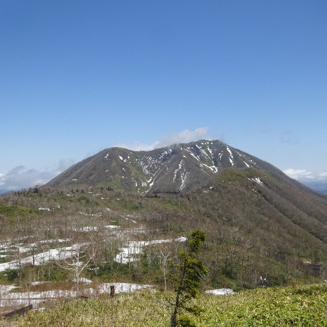 f:id:ace-bar-yu:20180524093549j:image f:id:ace-bar-yu:20180524093549j:image