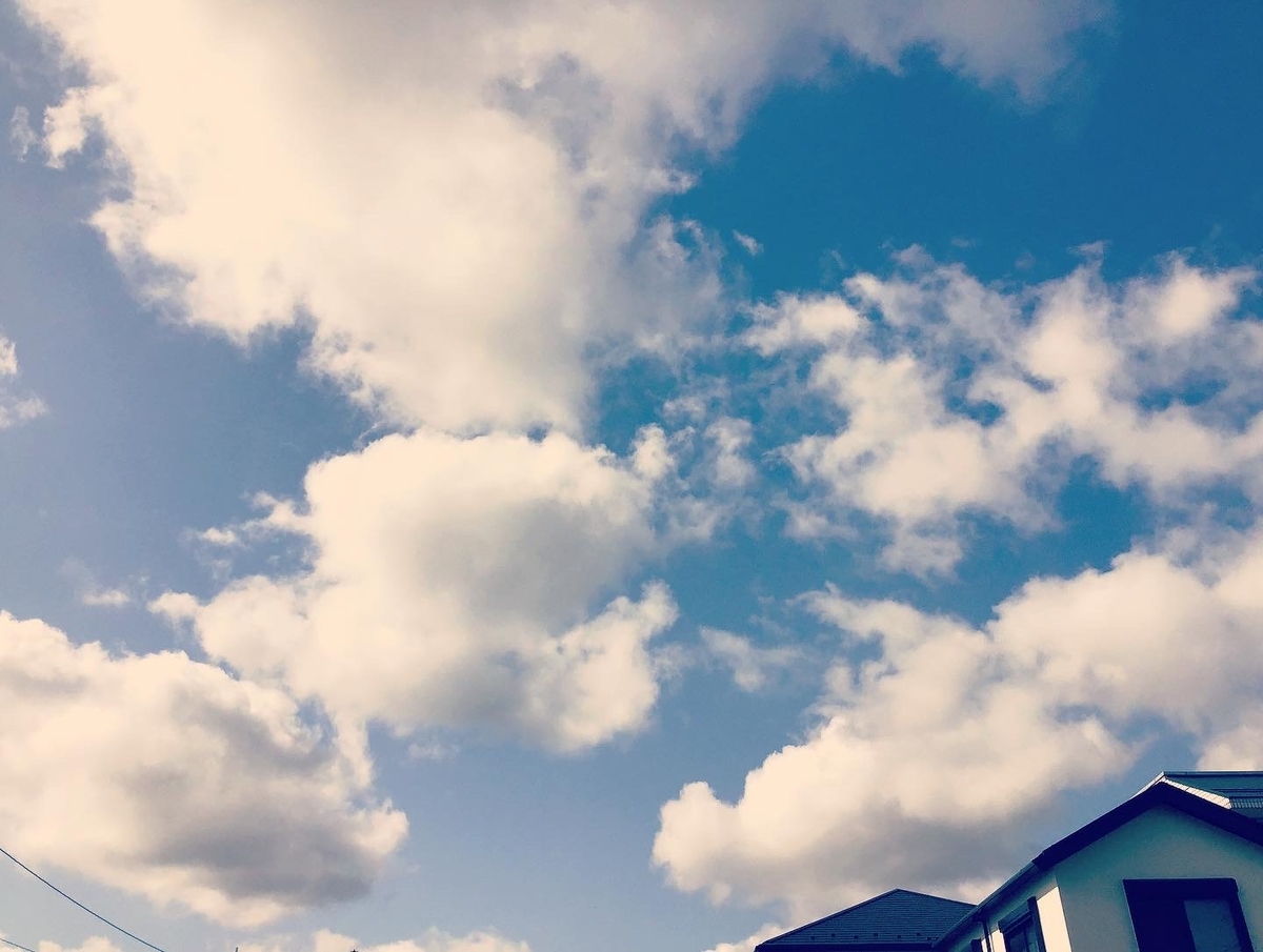 f:id:acertainfox512:20200525224112j:plain