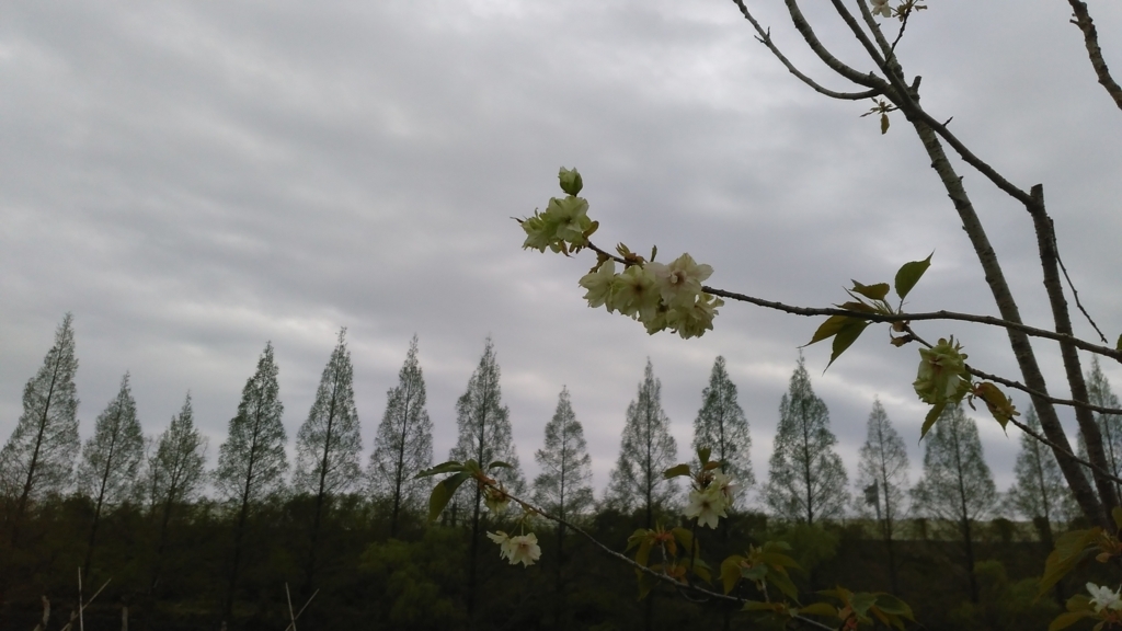f:id:acha03:20170917100707j:plain