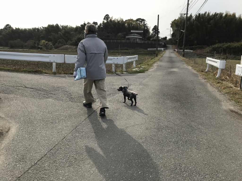 f:id:acha03:20180508085922j:plain