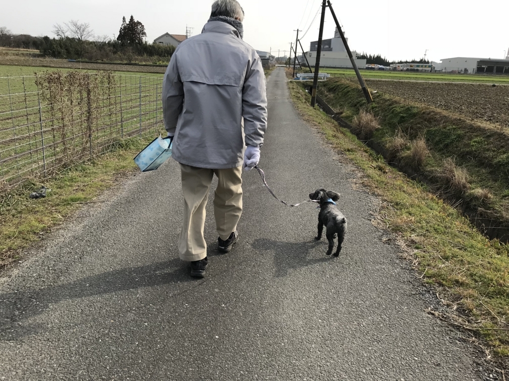 f:id:acha03:20180508215837j:plain