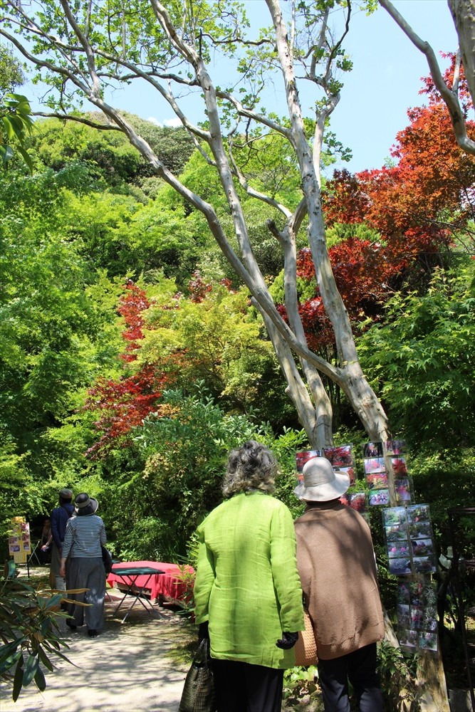 f:id:acha03:20190327121331j:plain