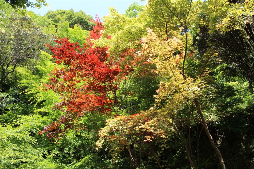 f:id:acha03:20190327121430j:plain