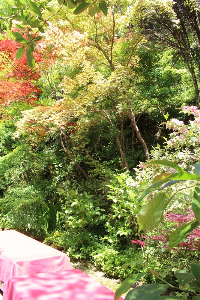 f:id:acha03:20190327121501j:plain