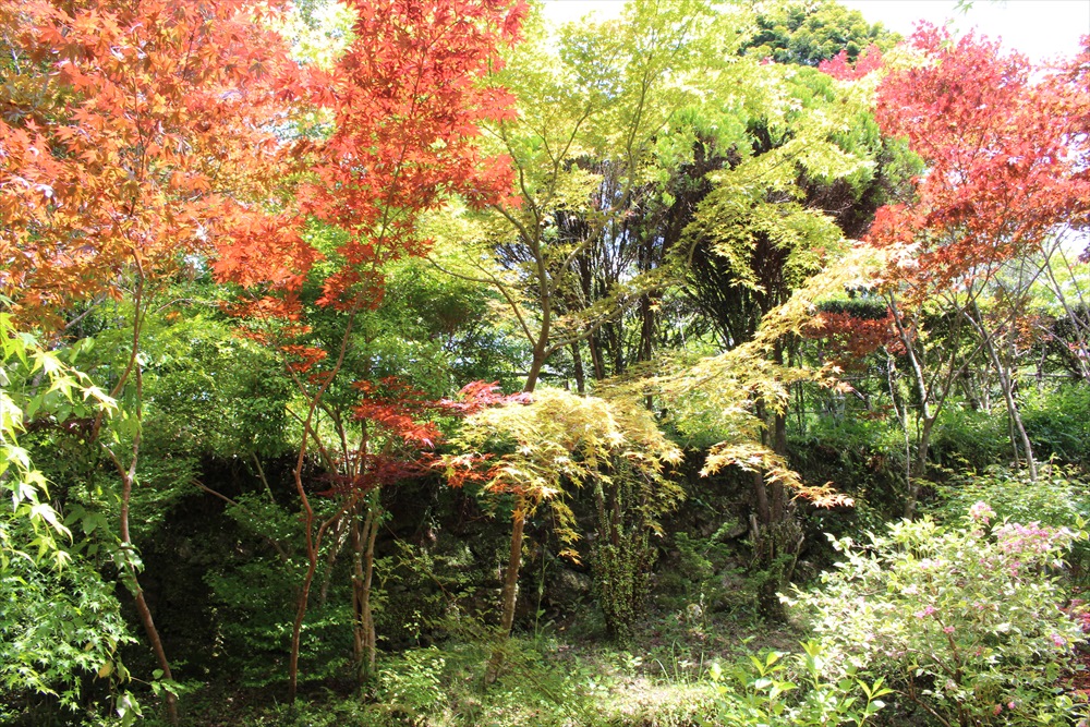 f:id:acha03:20190327121522j:plain