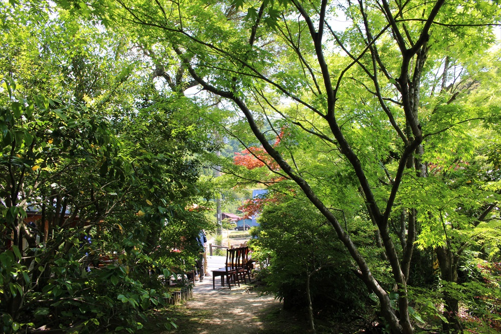 f:id:acha03:20190327121527j:plain