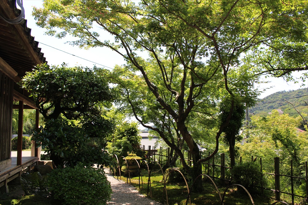 f:id:acha03:20190327154532j:plain f:id:acha03:20190327154532j:plain