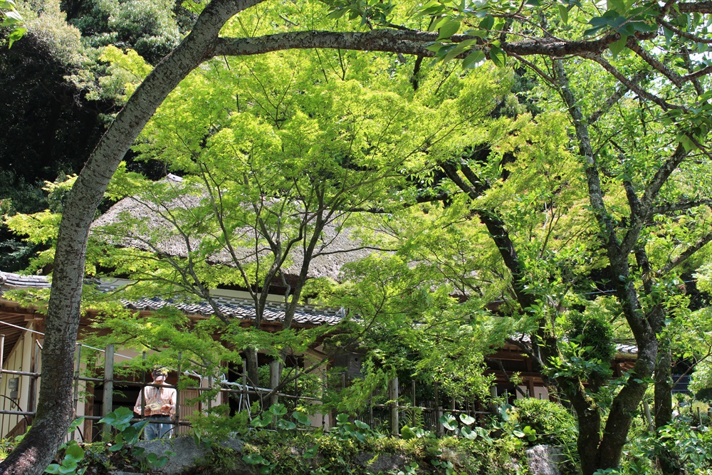 f:id:acha03:20190327154629j:plain f:id:acha03:20190327154629j:plain