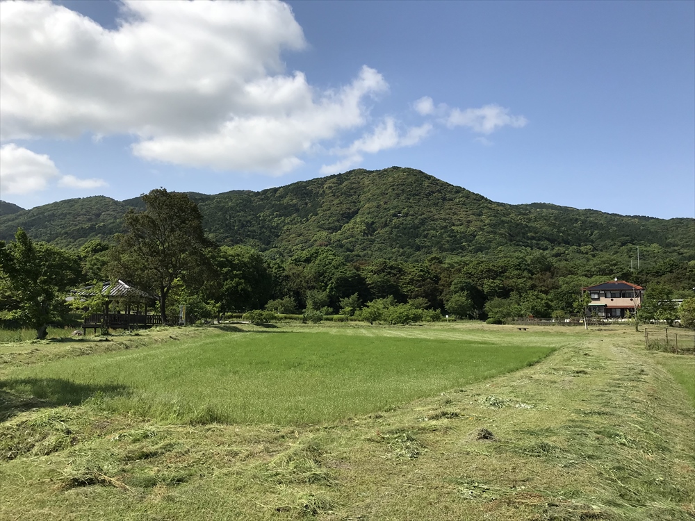 f:id:acha03:20190327164338j:plain f:id:acha03:20190327164338j:plain