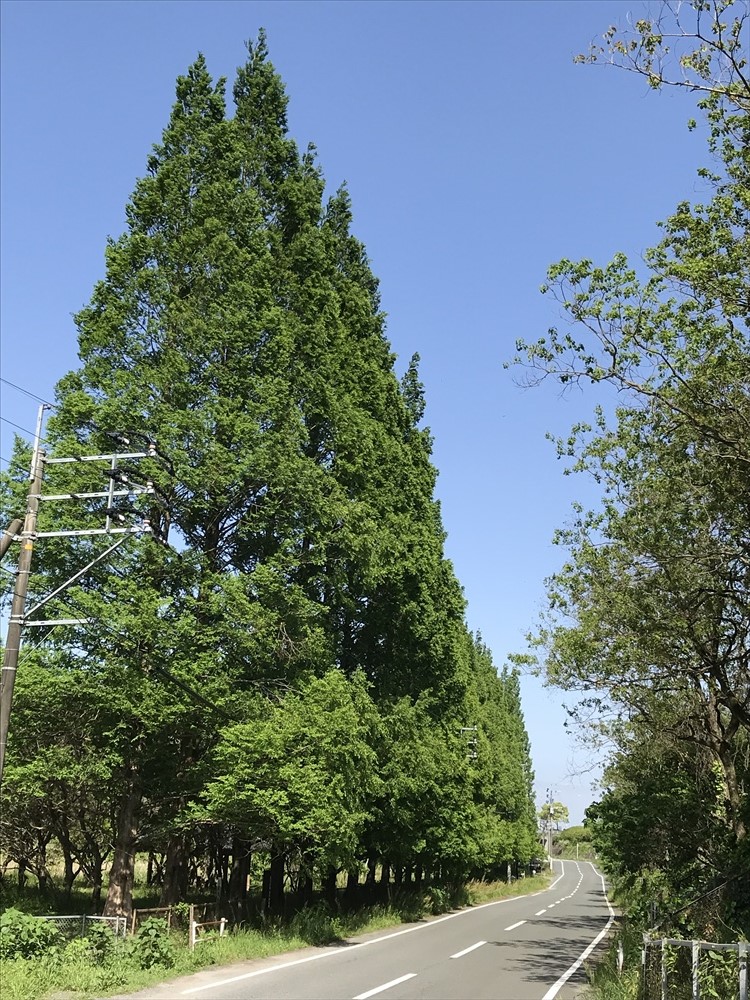 f:id:acha03:20190327164502j:plain f:id:acha03:20190327164502j:plain