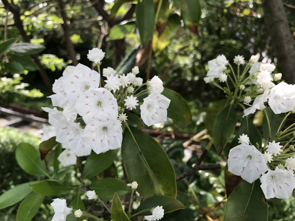 f:id:acha03:20190328101412j:plain