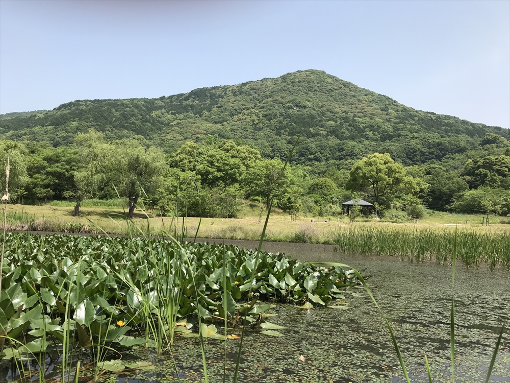 f:id:acha03:20190328160923j:plain f:id:acha03:20190328160923j:plain