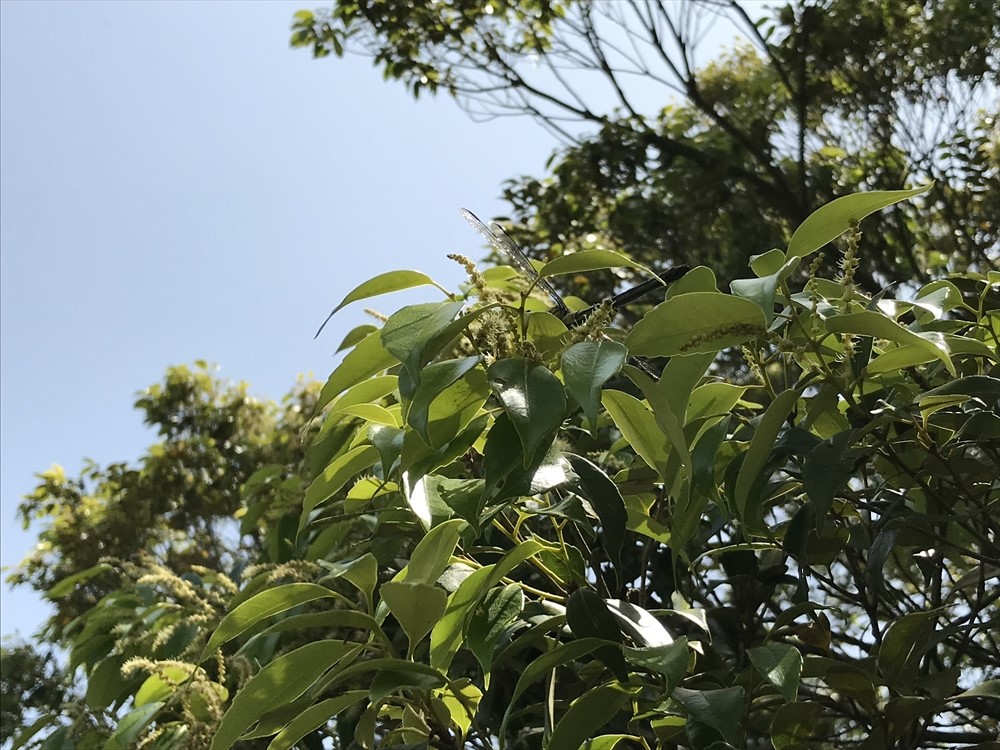 f:id:acha03:20190328161520j:plain f:id:acha03:20190328161520j:plain