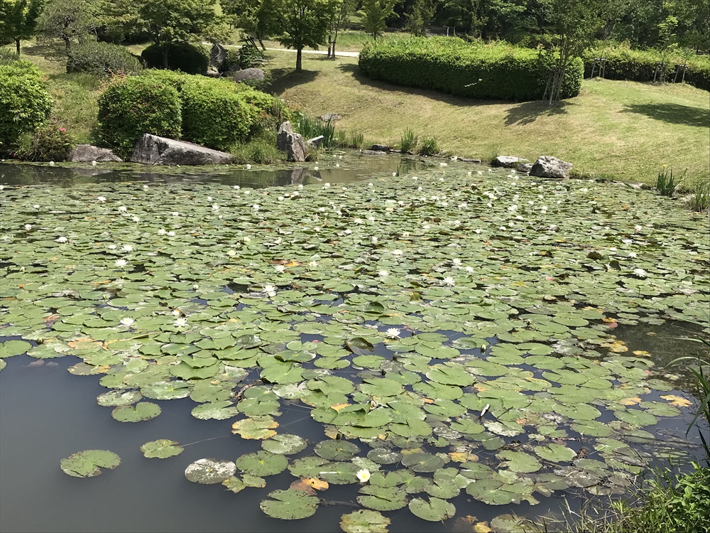 f:id:acha03:20190328161626j:plain f:id:acha03:20190328161626j:plain