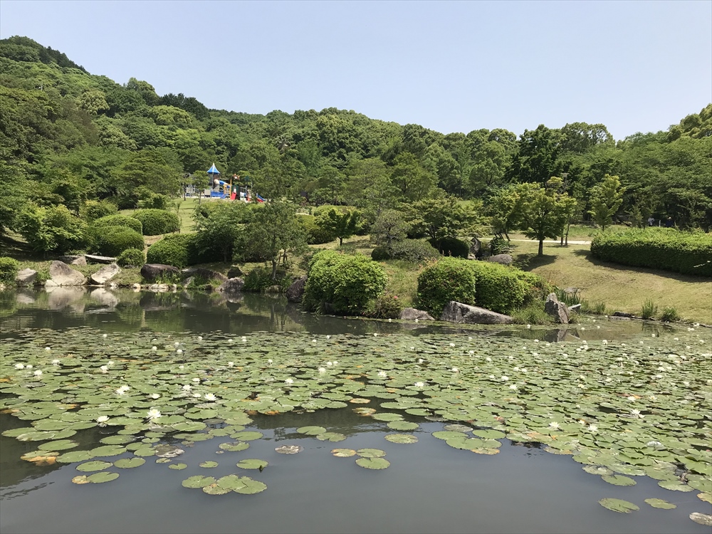 f:id:acha03:20190328161704j:plain f:id:acha03:20190328161704j:plain