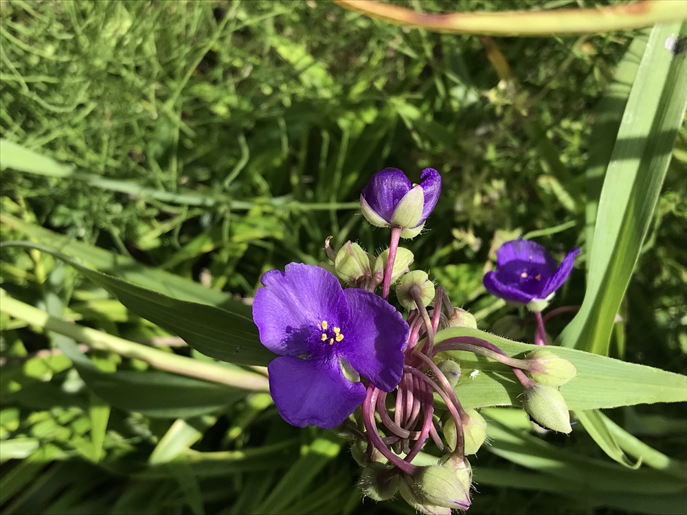 f:id:acha03:20190329073135j:plain