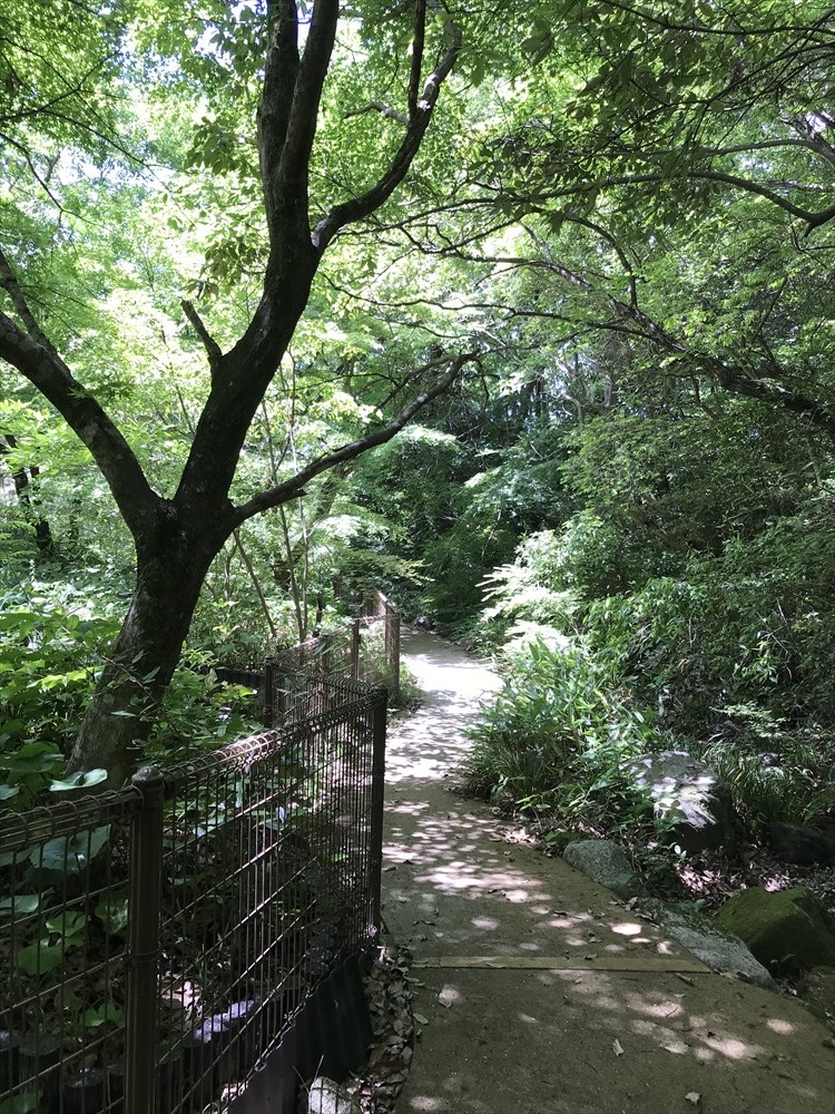 f:id:acha03:20190329073508j:plain