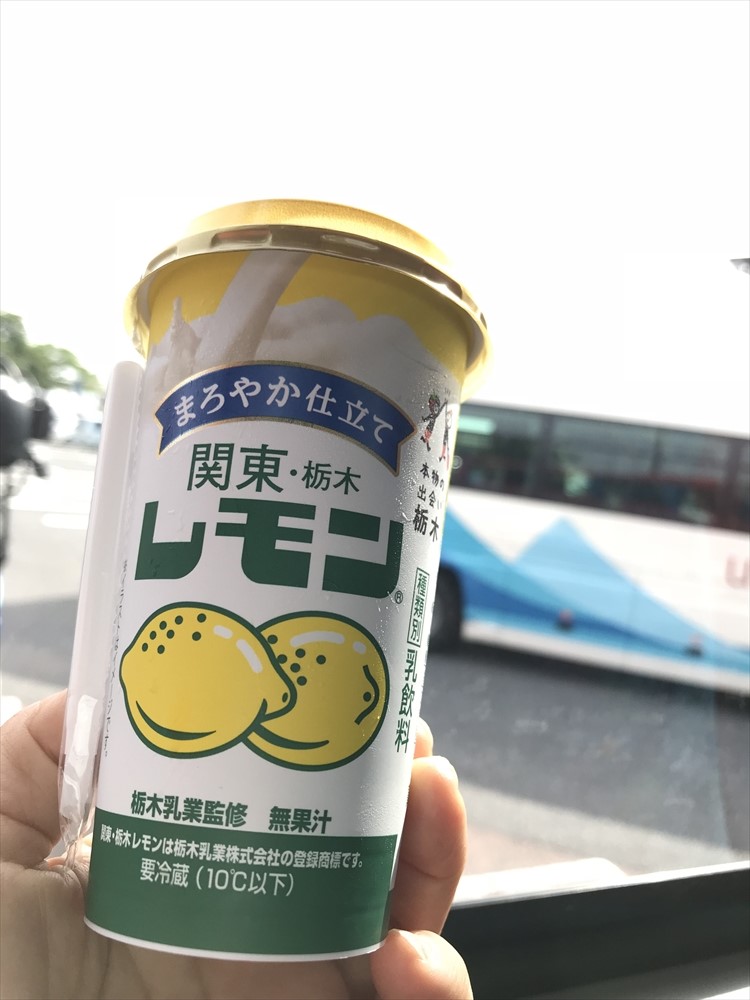 f:id:acha03:20190401092243j:plain