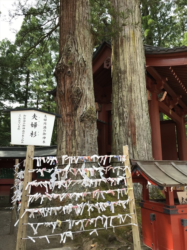 f:id:acha03:20190408224618j:plain