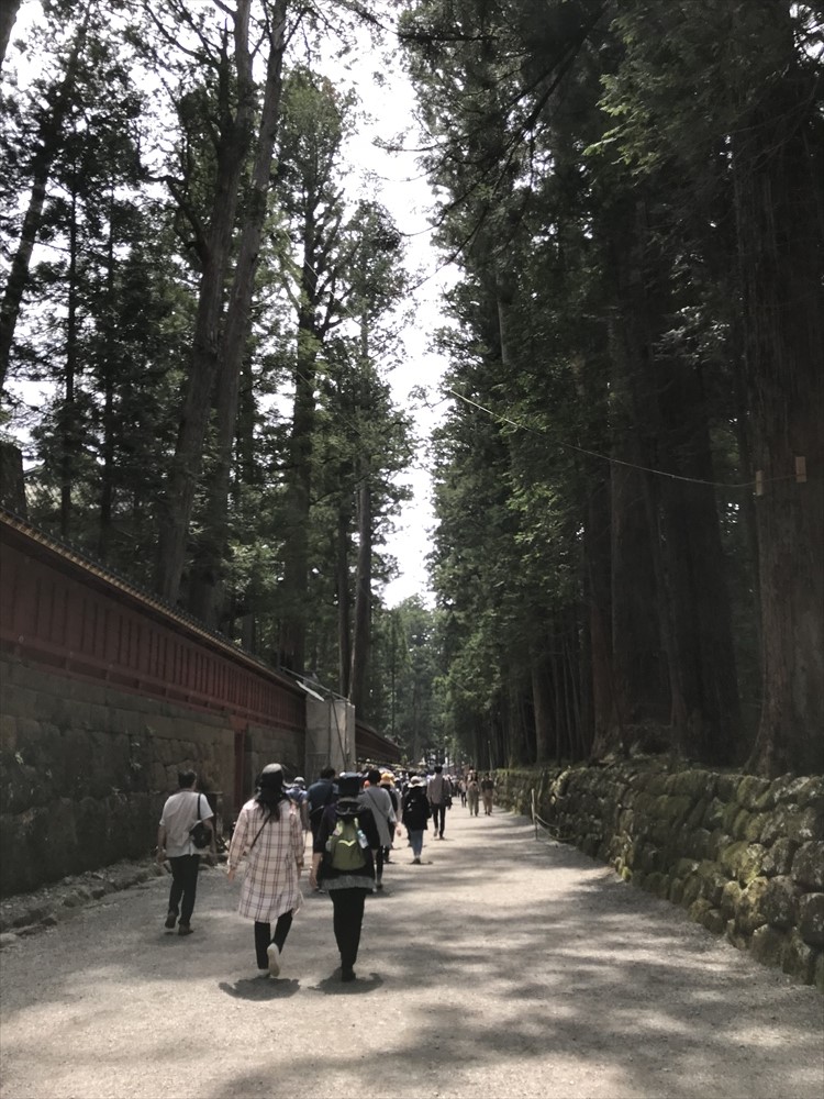 f:id:acha03:20190408224659j:plain