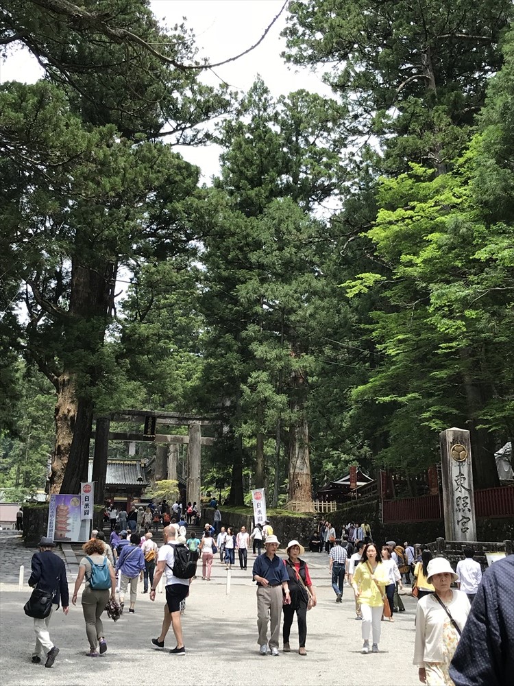 f:id:acha03:20190410112941j:plain