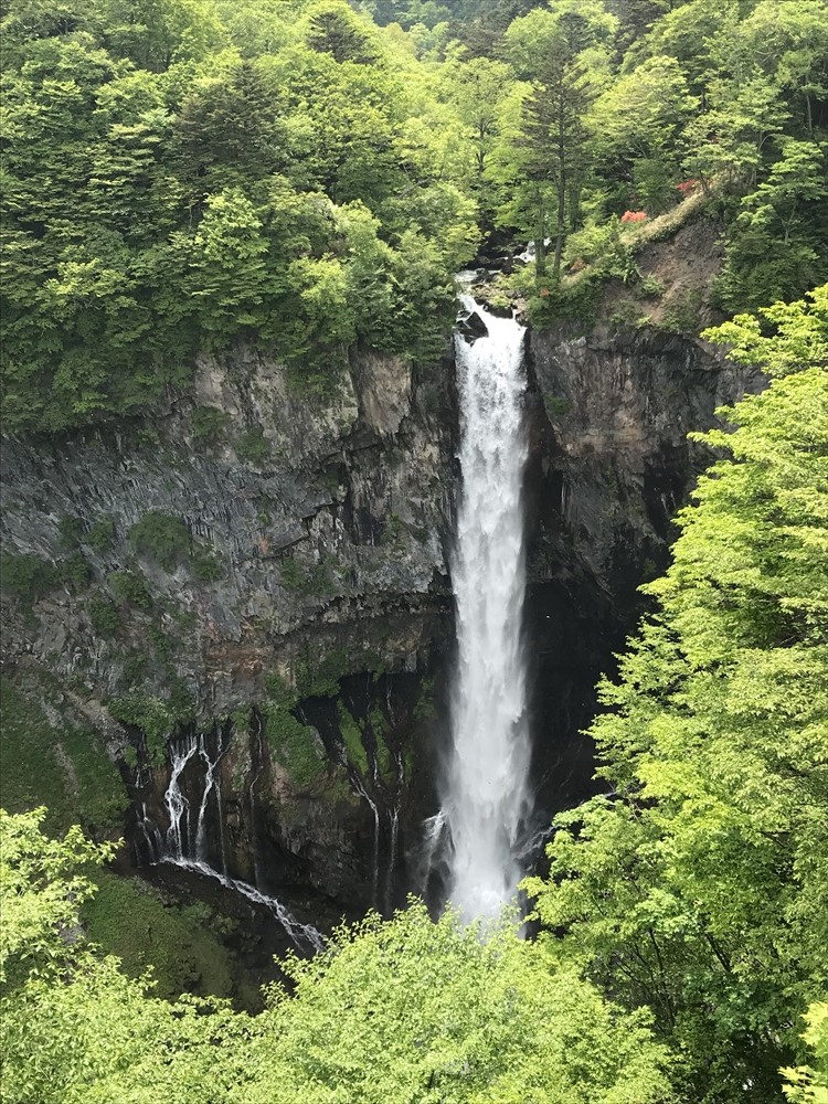 f:id:acha03:20190410115937j:plain