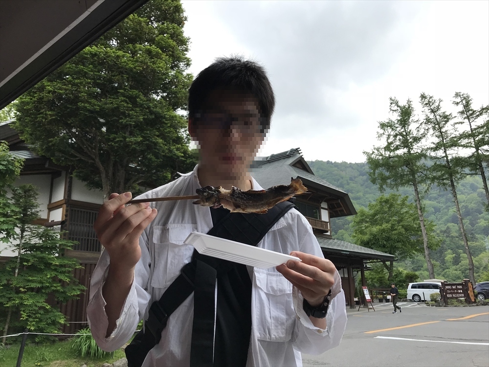 f:id:acha03:20190410120158j:plain