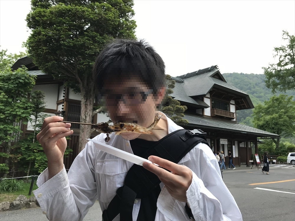 f:id:acha03:20190410120213j:plain