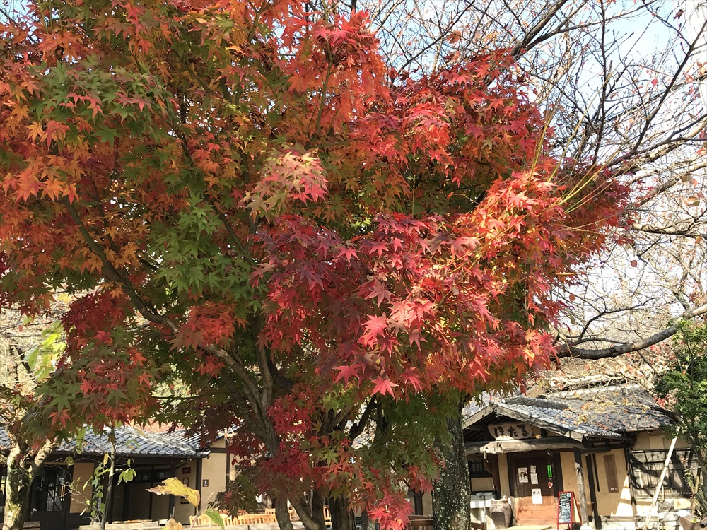 f:id:acha03:20190827164120j:plain