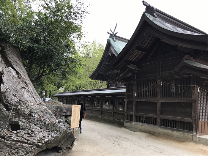 f:id:acha03:20200619161542j:plain f:id:acha03:20200619161542j:plain