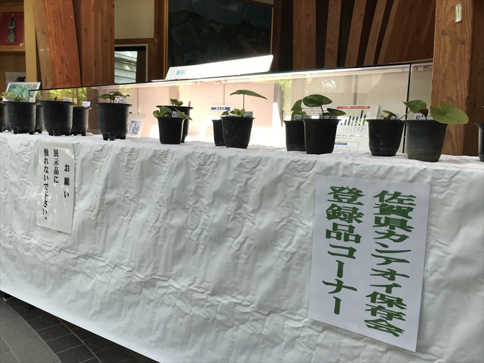 f:id:acha03:20200706115223j:plain