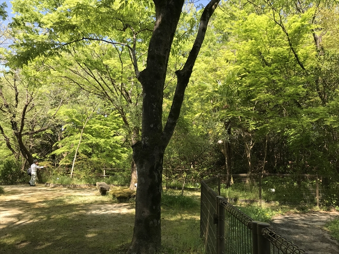 f:id:acha03:20200710093230j:plain