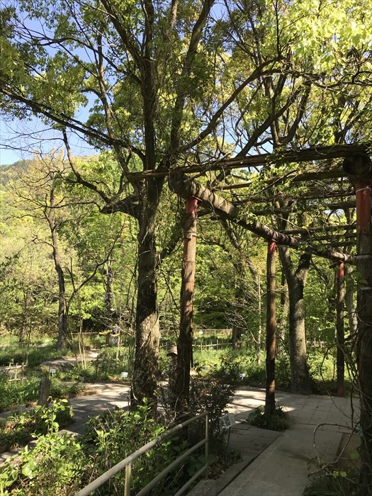 f:id:acha03:20200710093454j:plain