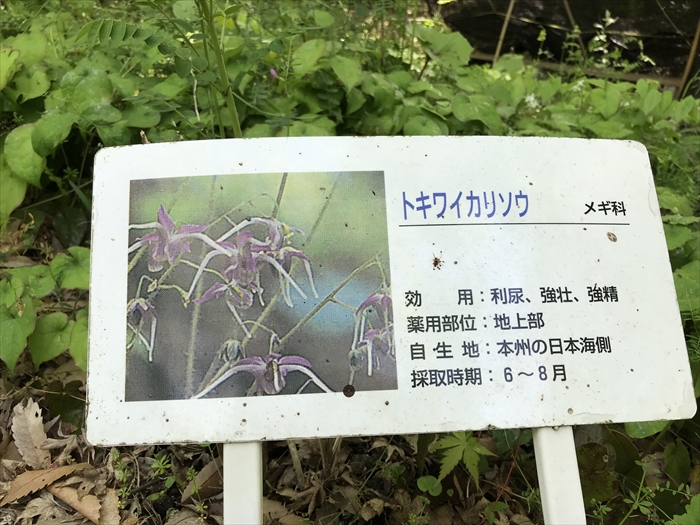 f:id:acha03:20200710113340j:plain