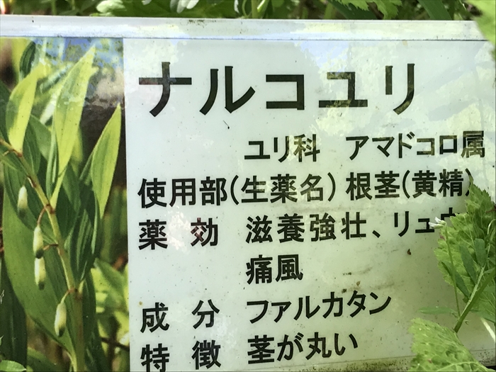 f:id:acha03:20200710113738j:plain