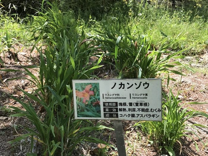 f:id:acha03:20200710114414j:plain