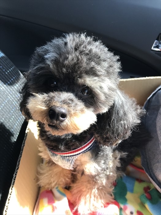 f:id:acha03:20200722121021j:plain