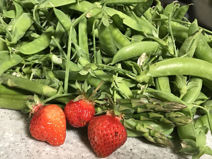 f:id:acha03:20200722144244j:plain