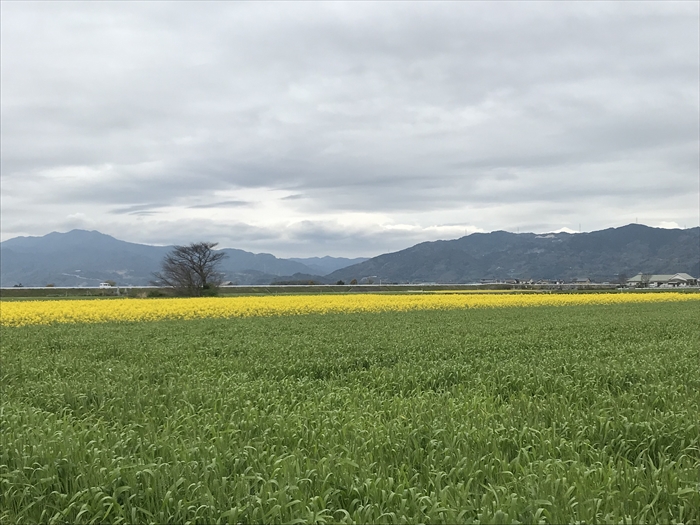 f:id:acha03:20210728084009j:plain