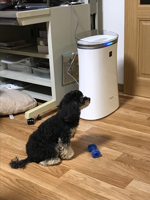 f:id:acha03:20210728084646j:plain