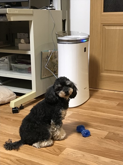 f:id:acha03:20210728084720j:plain