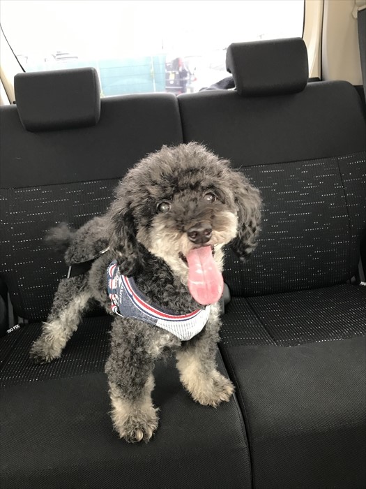 f:id:acha03:20211209095130j:plain