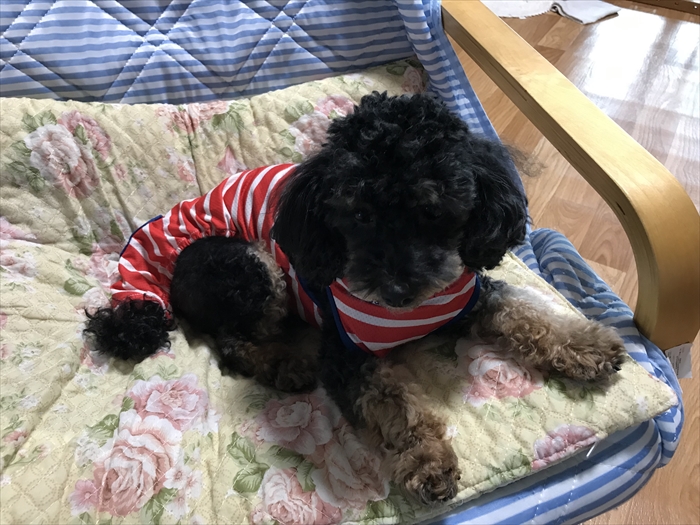 f:id:acha03:20211214113334j:plain